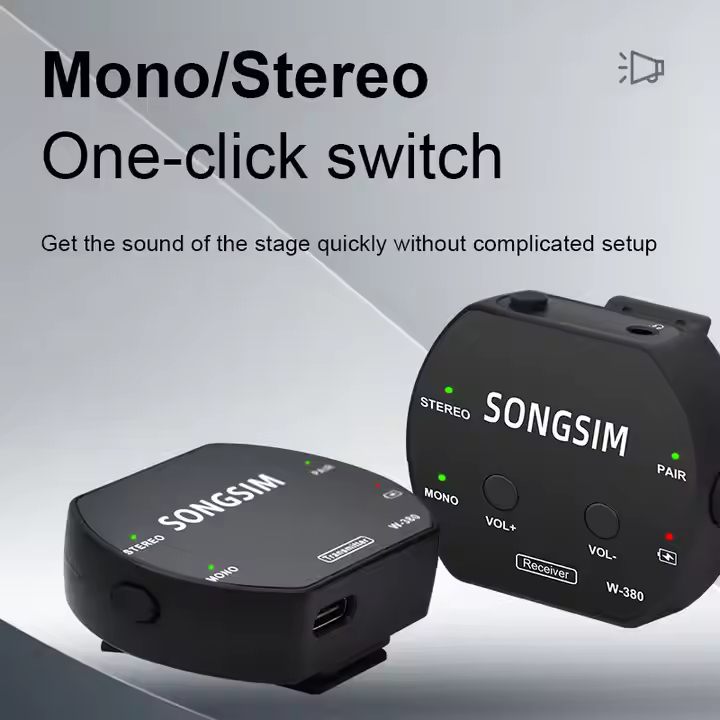 W-380 2.4Ghz Wireless Microphone Professional Dual Channel Condenser Microphone for Musical Instruments Stage