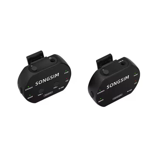 W-380 2.4Ghz Wireless Microphone Professional Dual Channel Condenser Microphone for Musical Instruments Stage