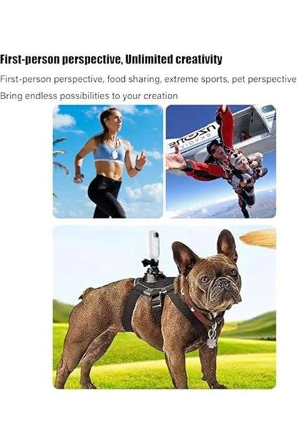 Stallion Frames Body Camera